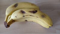 Bananes Cavendish