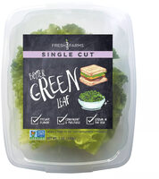 Green leaf lettuce