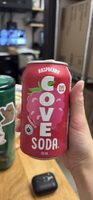 Probiotic Soda Raspberry