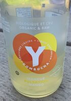 Kombucha