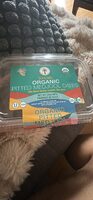 SunDate Organic Pitted Medjool Dates