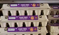 Cage Free Large Eggs