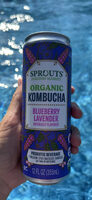 Organic kombucha blueberry lavender