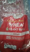 Sprouts wheat plant bread