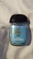Crisp Morning Air Anti-Bacterial Hand Gel