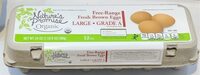 Organic Free Range Fresh Brown Eggs