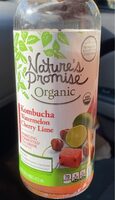 Organic probiotic kombucha watermelon cherry