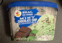 Mint Chocolate Chip Ice Cream