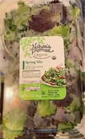 Organic Spring Mix