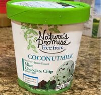 Mint Chocolate Chip Coconutmilk Dessert