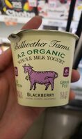 Blackberry A2 yogurt
