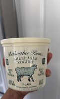 Sheep Milk Yogurt