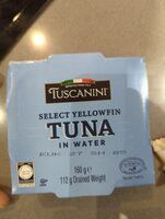 Yellowfin tuna in water