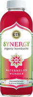 Watermelon Wonder Kombucha