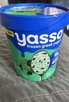 Frozen Greek Yogurt Mint Chocolate Chip