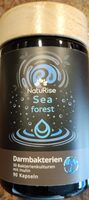Sea forest Darmbakterien