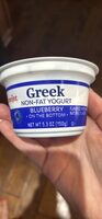 Greek Non-Fat Yogurt Blueberry