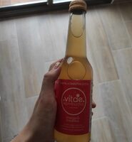 Kombucha mango & maduixa
