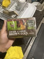 Egg