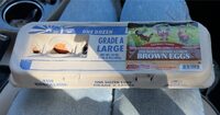 Brown eggs
