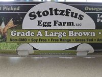 Large Brown Eggs