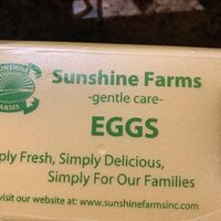 Jumbo Brown Eggs