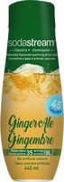 Ginger ale syrup