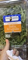 Baby Arugula