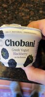 Greek Yogurt Blackberry on the Bottom