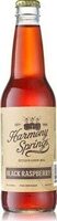 Black Raspberry Soda Pop