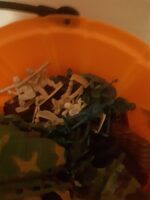 Maud borup inc, gummy army men