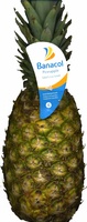 Piña