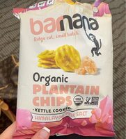 Organic Plantain Chips