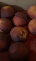 Kingsburg Orchards
