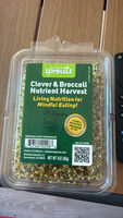 Tangy clover & broccoli sprouts