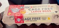 Cage Free Large Eggs