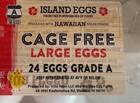 Cage Free Large Eggs