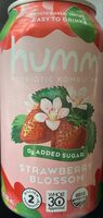Probiotic kombucha