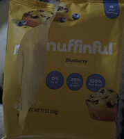 Blueberry Mini Muffins