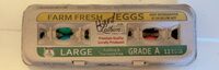 Large Eggs