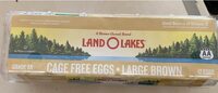 Cage Free Eggs Large Brown