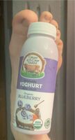Blueberry yogurt