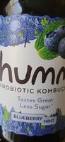 Humm Probiotic Kombucha