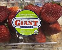 Organic Strawberries
