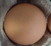 Eggs