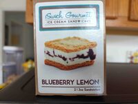 Blueberry lemon ice cream sandwich