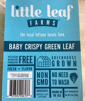 Baby Crispy Green Leaf