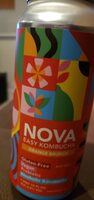 Nova Easy Kombucha - Orange Brunch