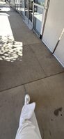 Blueberry protein bar