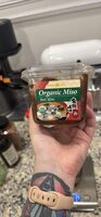 Organic Miso Red Miso